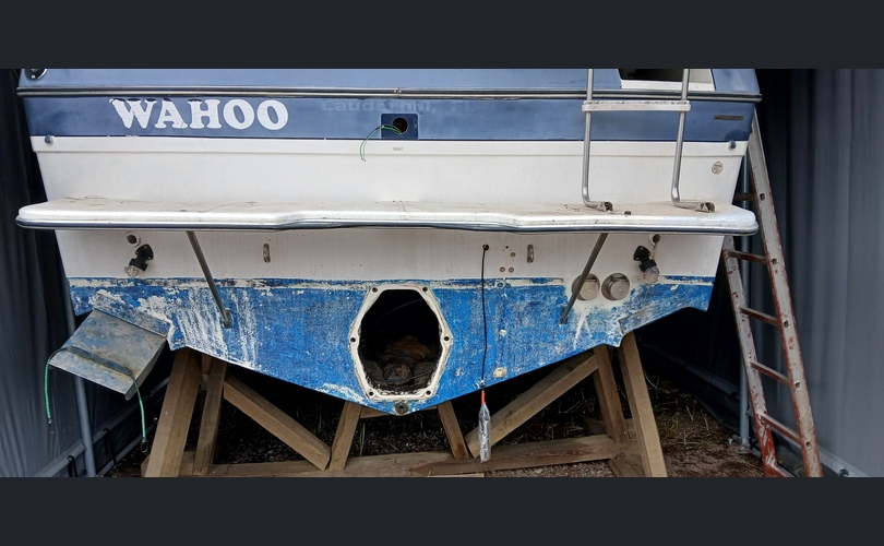 Bayliner 2550 Cierra Sunbridge-kuva-12